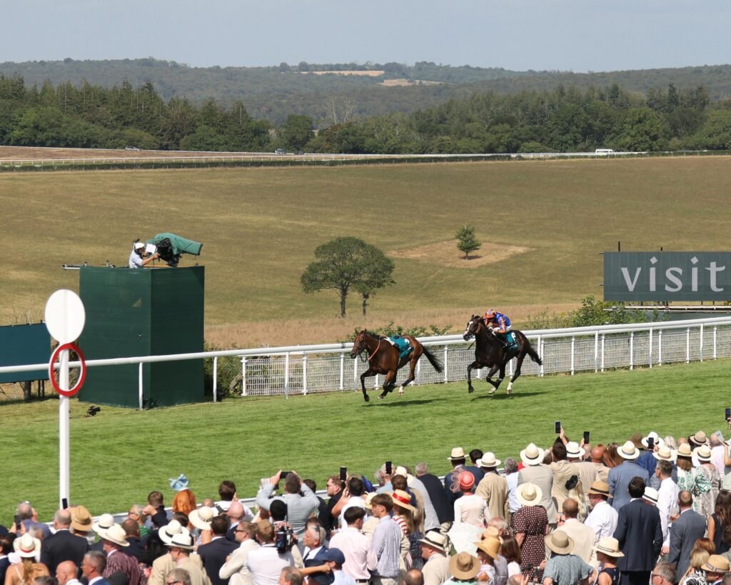 La Scandinavie triomphe dans la Goodwood Cup malgré un incident de cheval sans cavalier