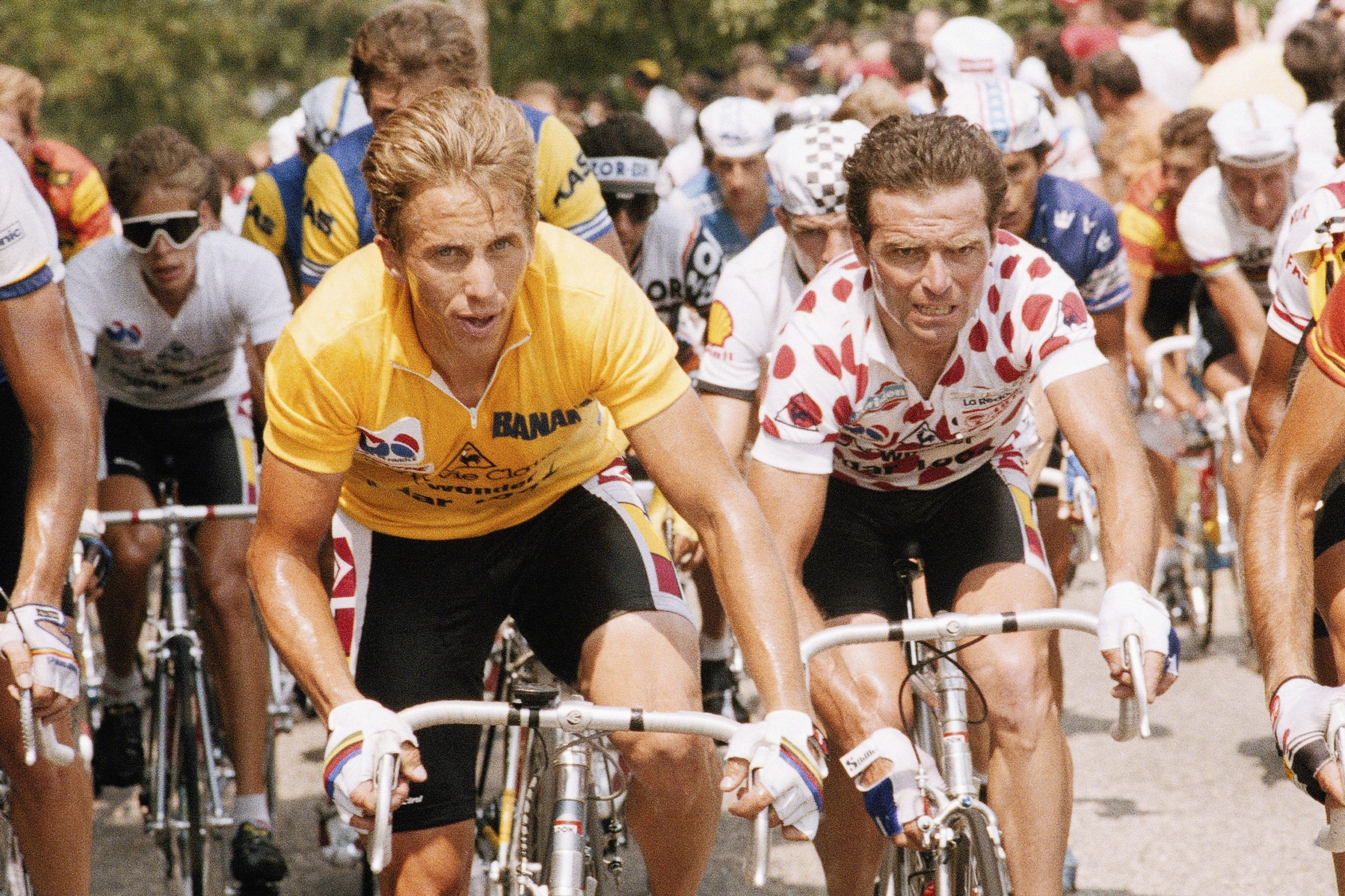 Five-time winner Bernard Hinault challenges Greg Lemond in the 1986 Tour