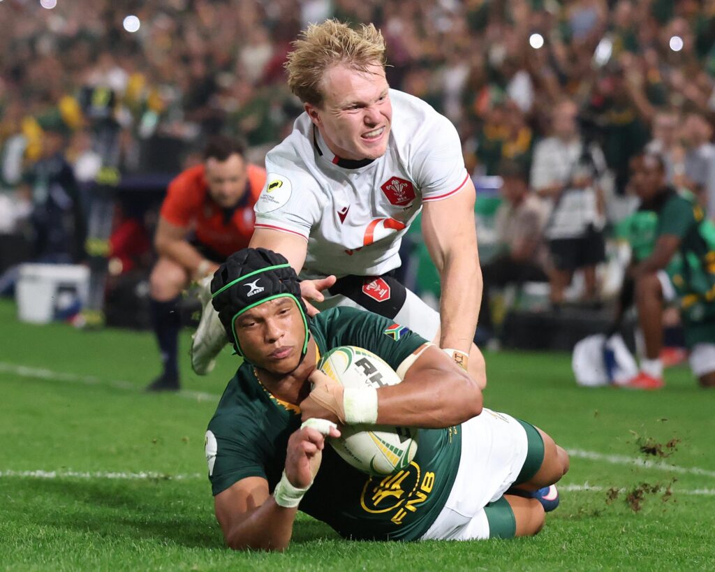 L&rsquo;Afrique du Sud domine le Pays de Galles avec un score de 43-0