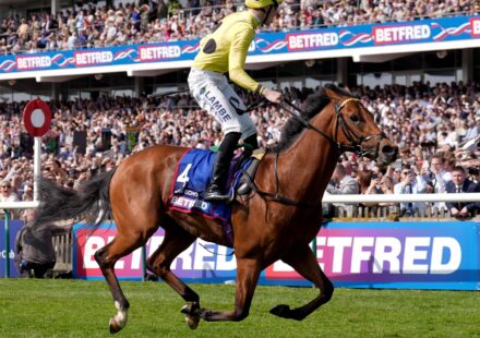La retraite inattendue de Bow Echo en raison d&rsquo;une blessure
