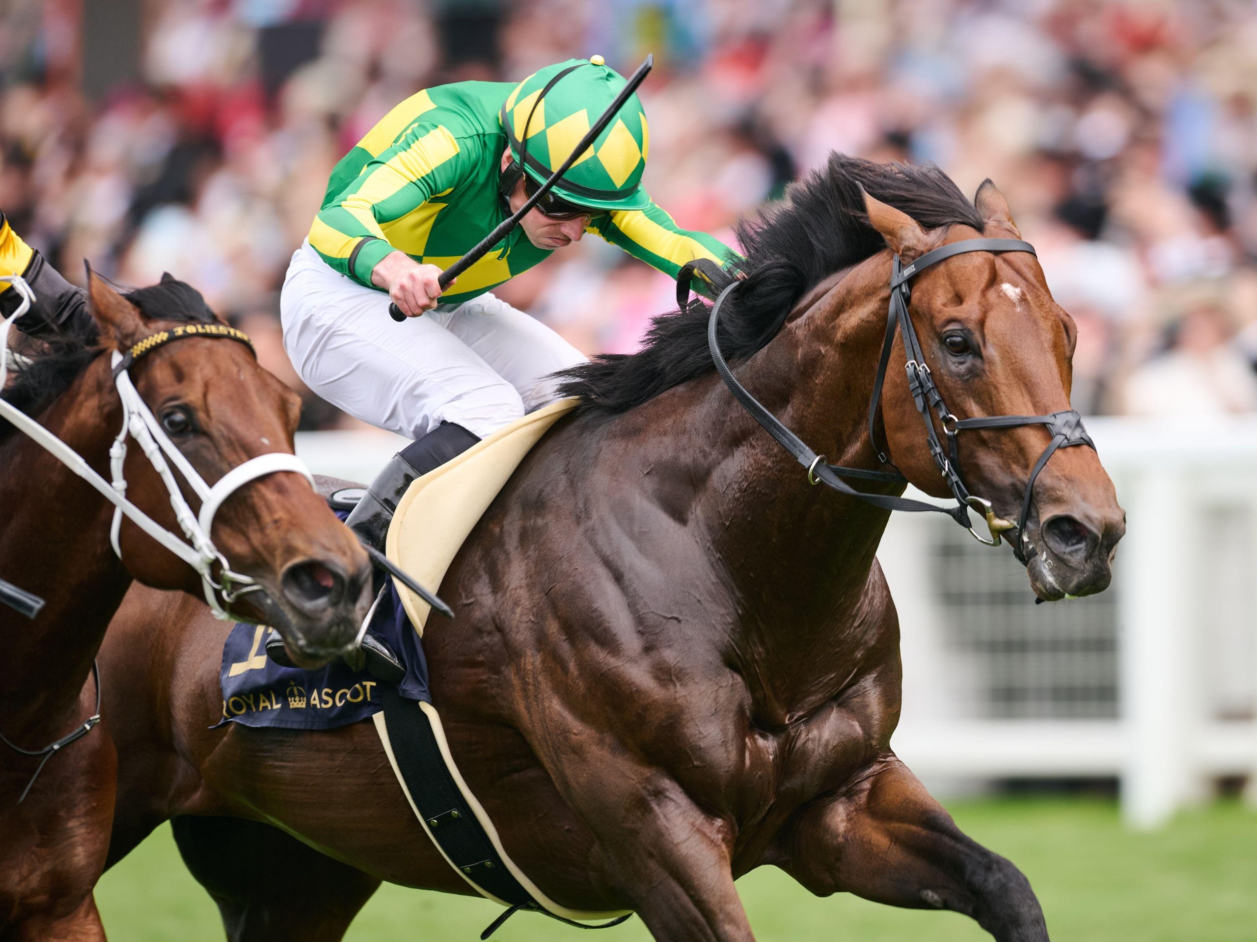 Ryan Moore on Satono Reve at Royal Ascot