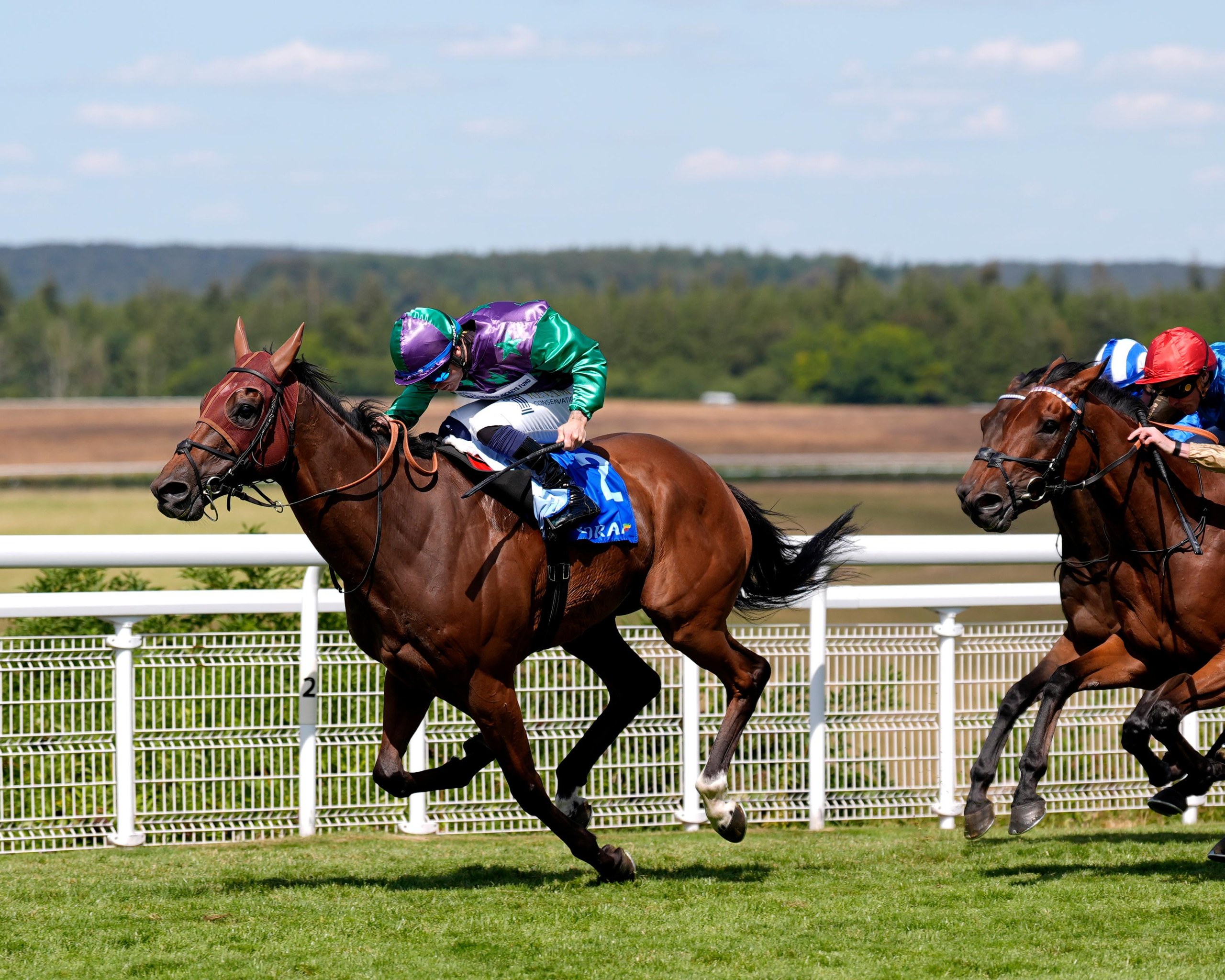 Enfjaar ridden by Ray Dawson on their way to winning the Coral Glorious Stakes.