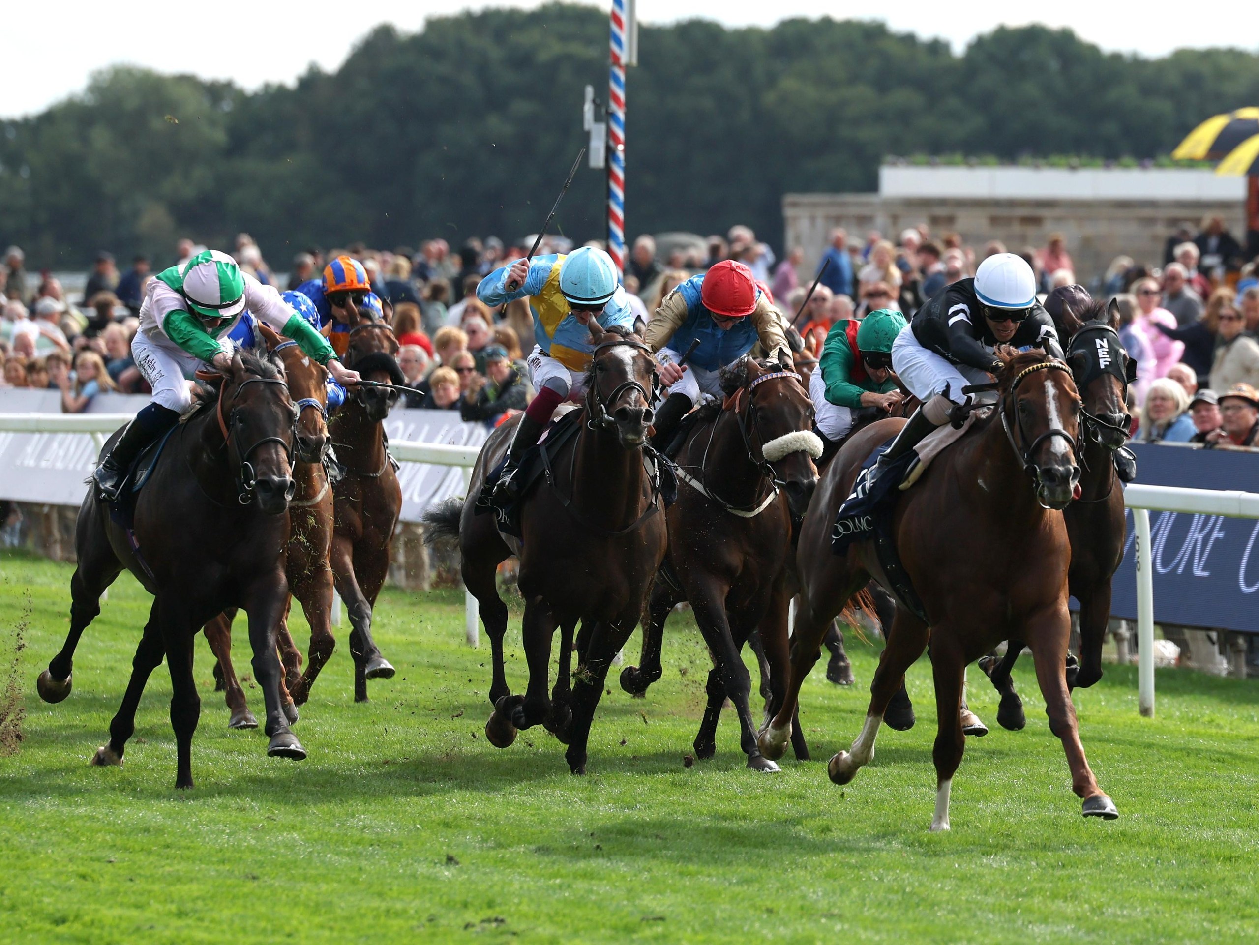 Bacio storms clear to win the Nunthorpe Stakes on Friday