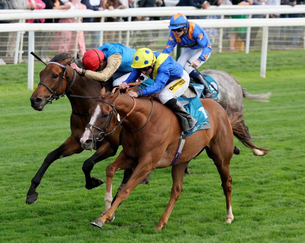Andrew Balding espère décrocher un titre d&rsquo;entraîneur au Royaume-Uni