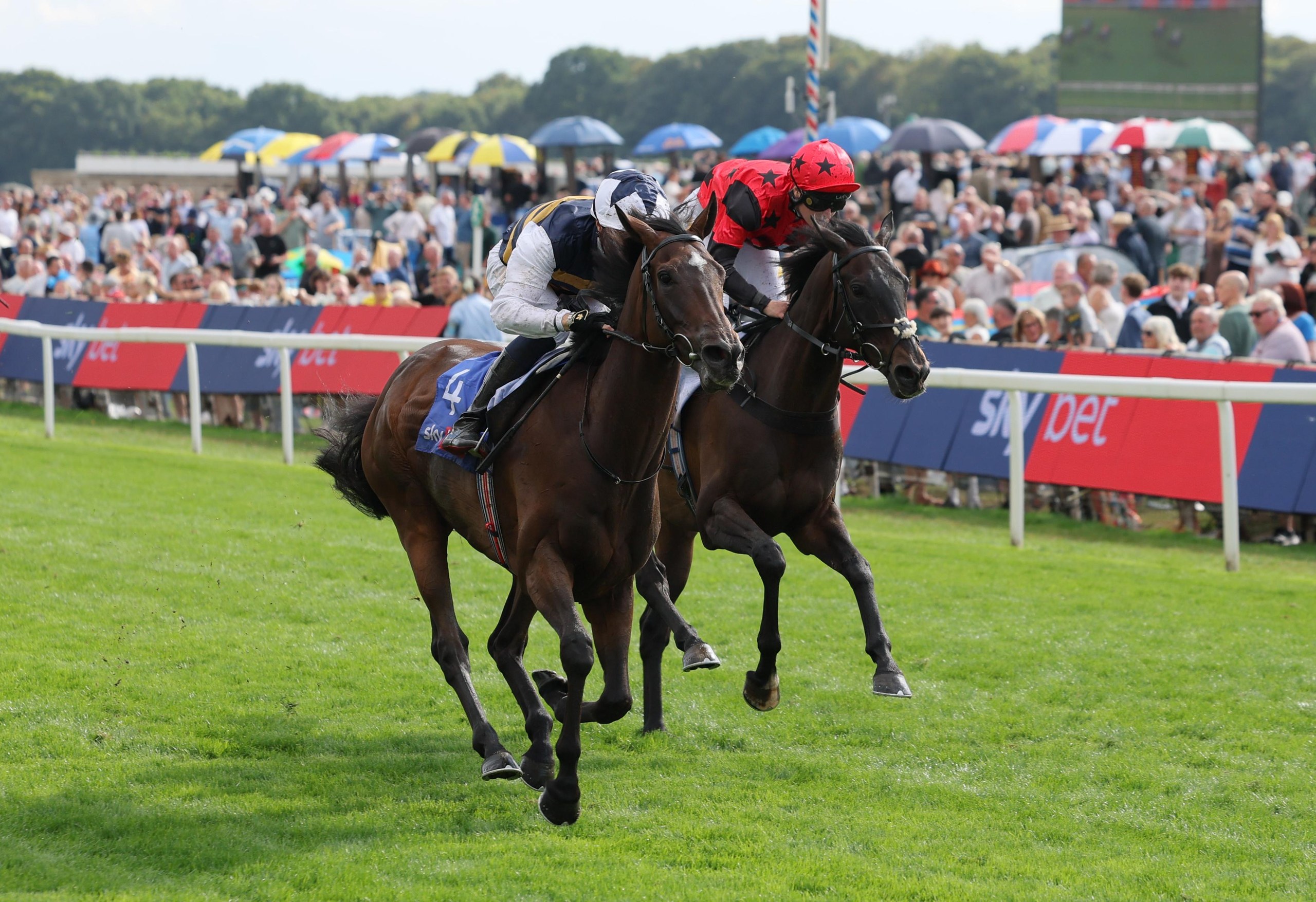 Small Fry ridden by Dylan Browne McMonagle on their way to winning the Stayers Handicap.