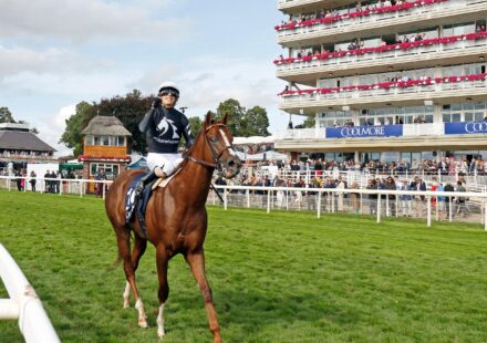 Bacio remporte les Nunthorpe Stakes à York avec brio