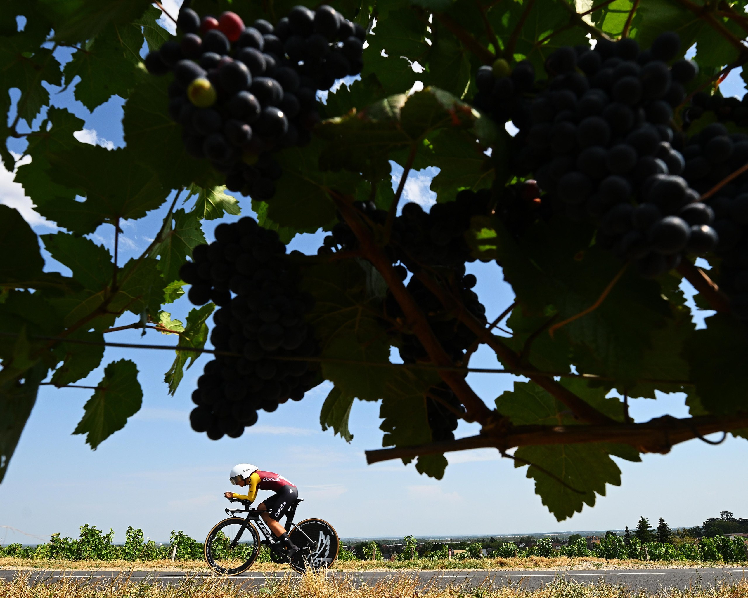 Cofidis’ Victorie Guilman passes by a vineyard.