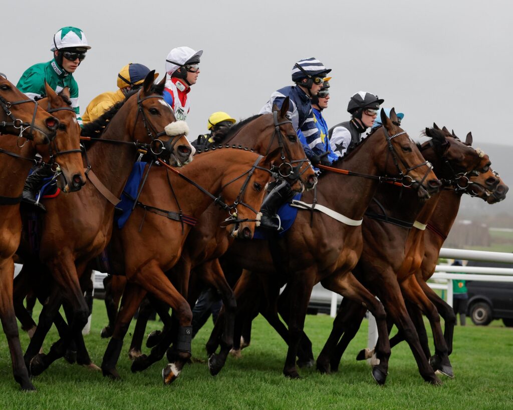 La BHA introduit des mesures pour réduire les faux départs à Cheltenham