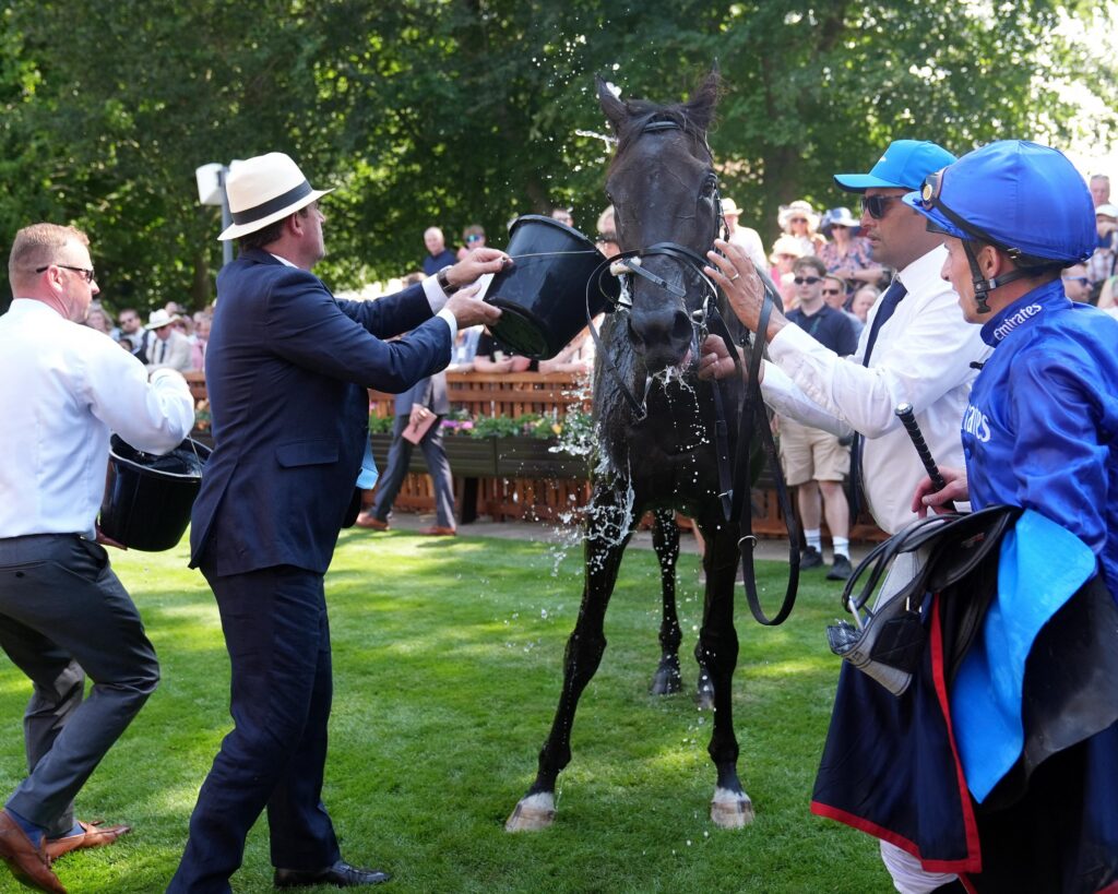 Rebel’s Romance triomphe lors des Princess of Wales’s Stakes à Newmarket