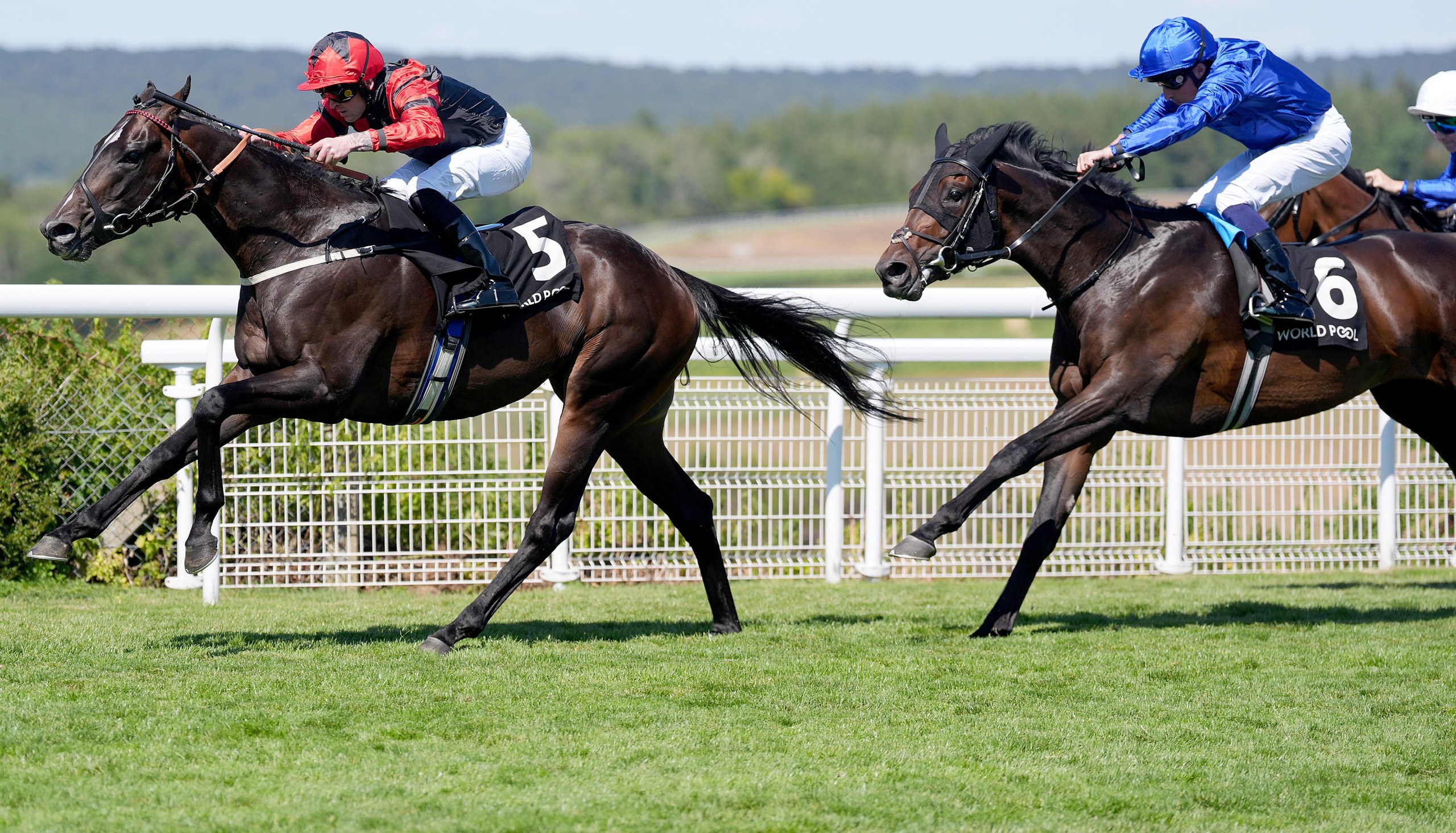 Shayem defeats the odds-on favourite Talk Of New York at Goodwood