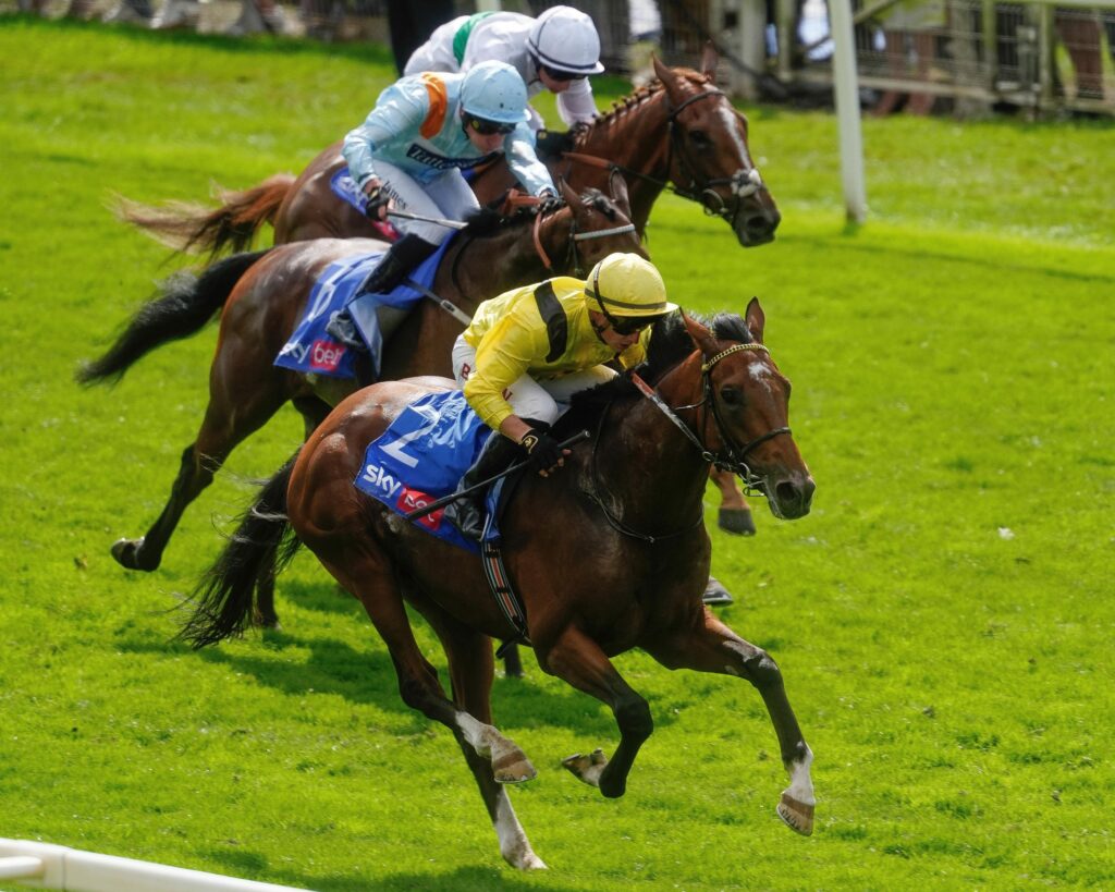 Festival Ebor à York : Notable Speech et Infraad brillent lors de la finale