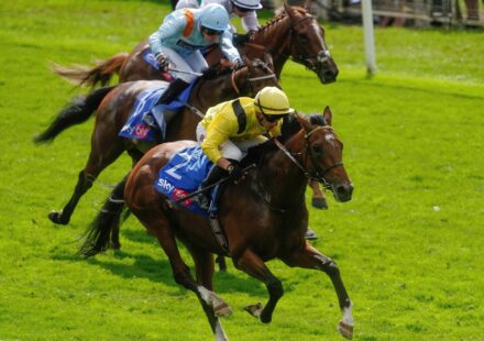 Festival Ebor à York : Notable Speech et Infraad brillent lors de la finale