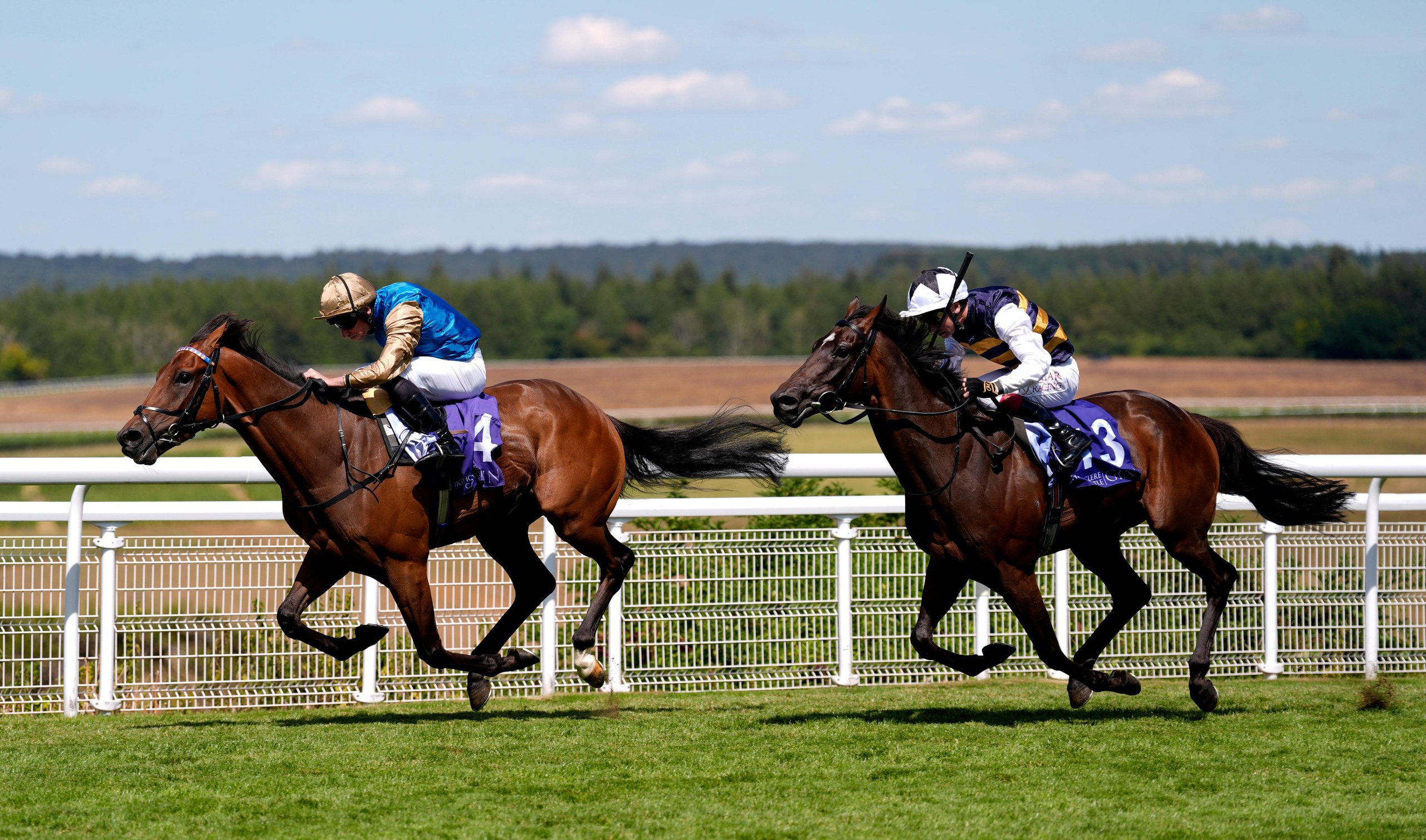 Hopewell Rock ridden by Ryan Moore wins the Summer Handicap