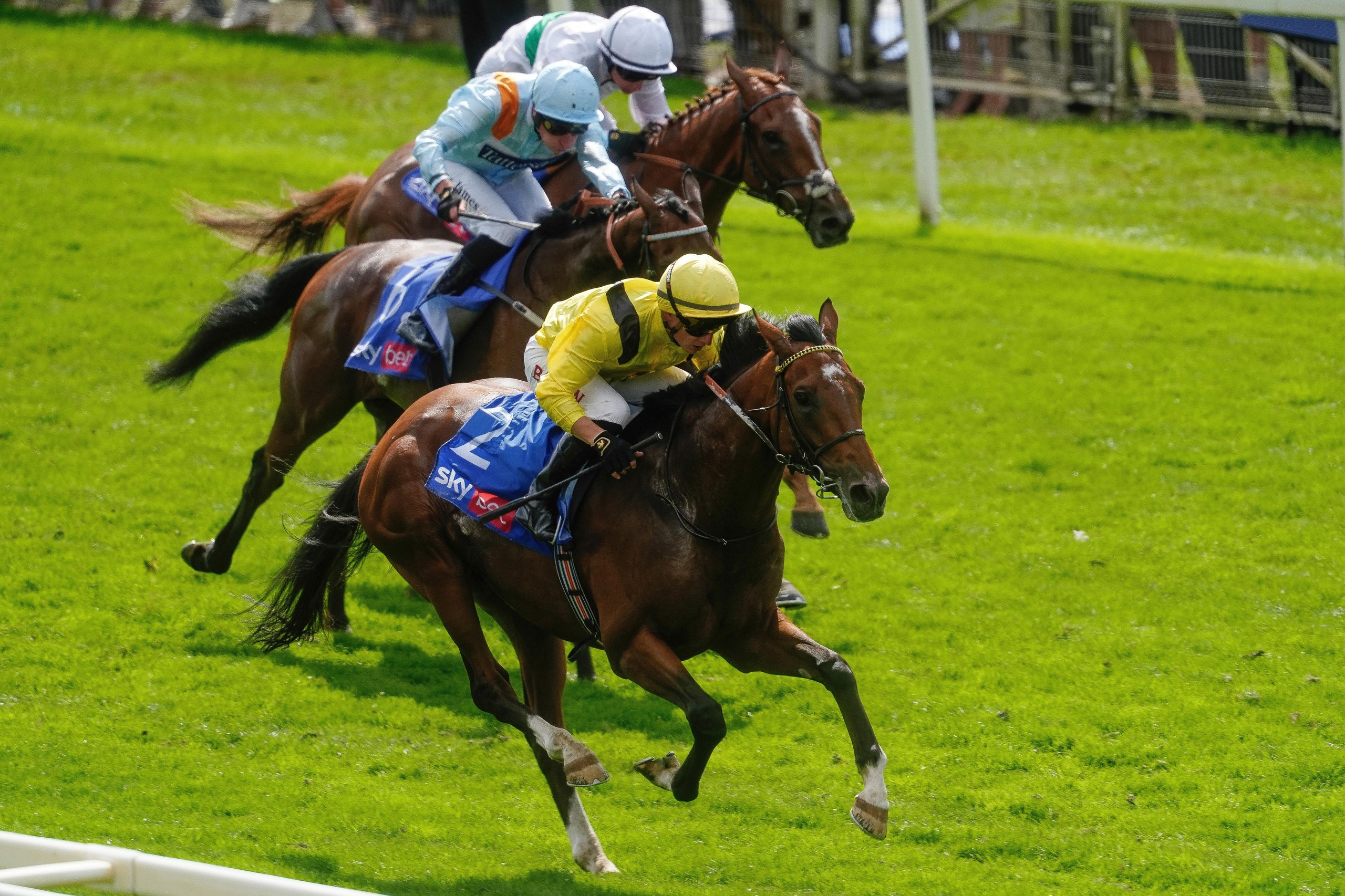 Tom Marquand riding Infraad wins.