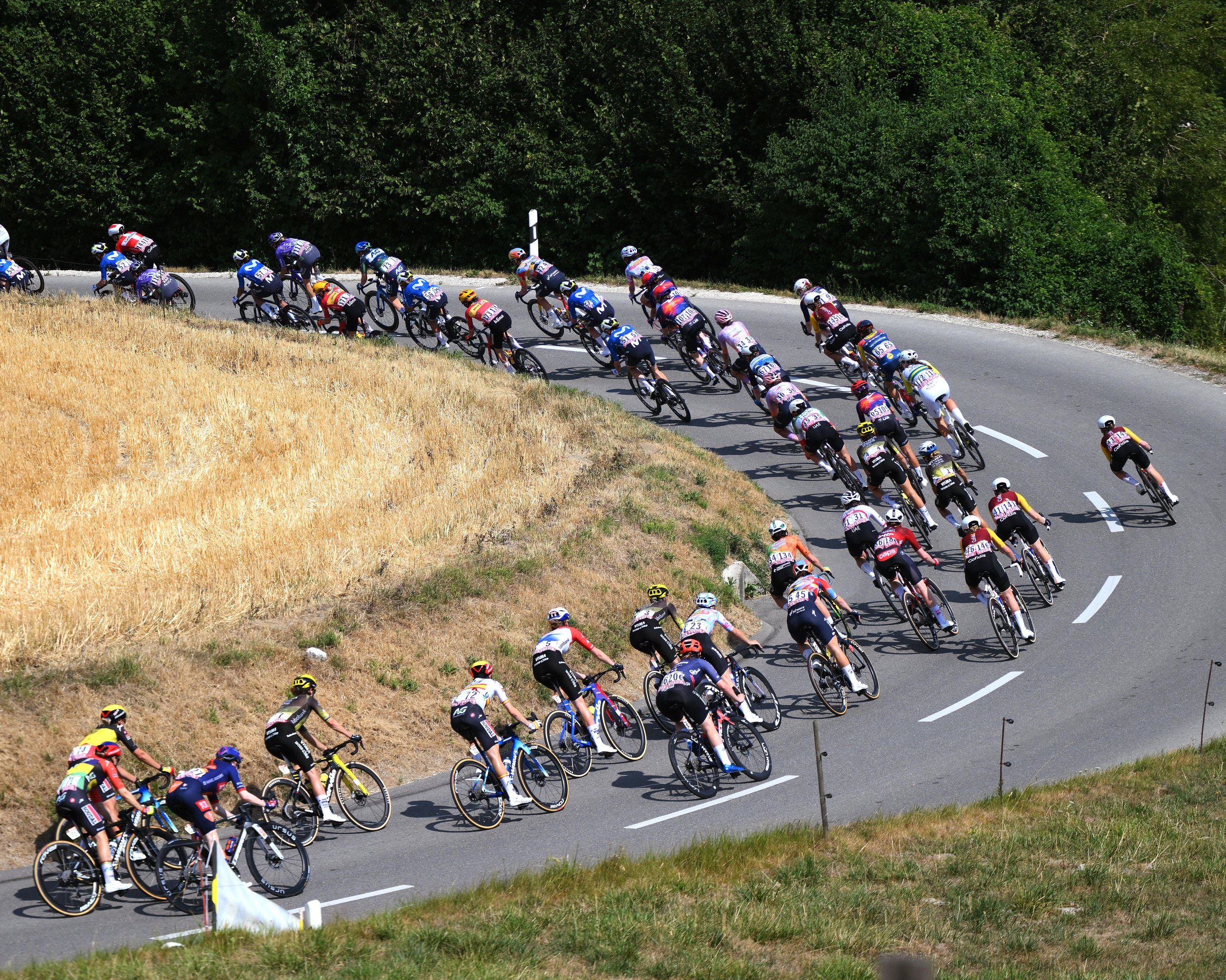 A general view of the peloton competing.